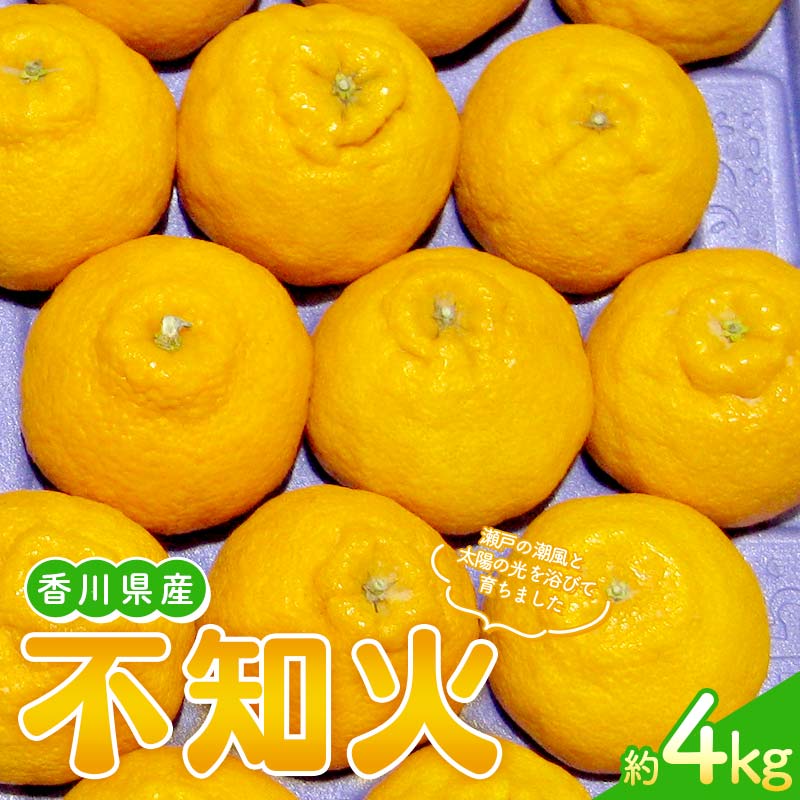 【ふるさと納税】【先行予約2026年2月～3月頃お届け】 不知火(約4kg) しらぬい 柑橘 果物 香川 みかん F5J-954