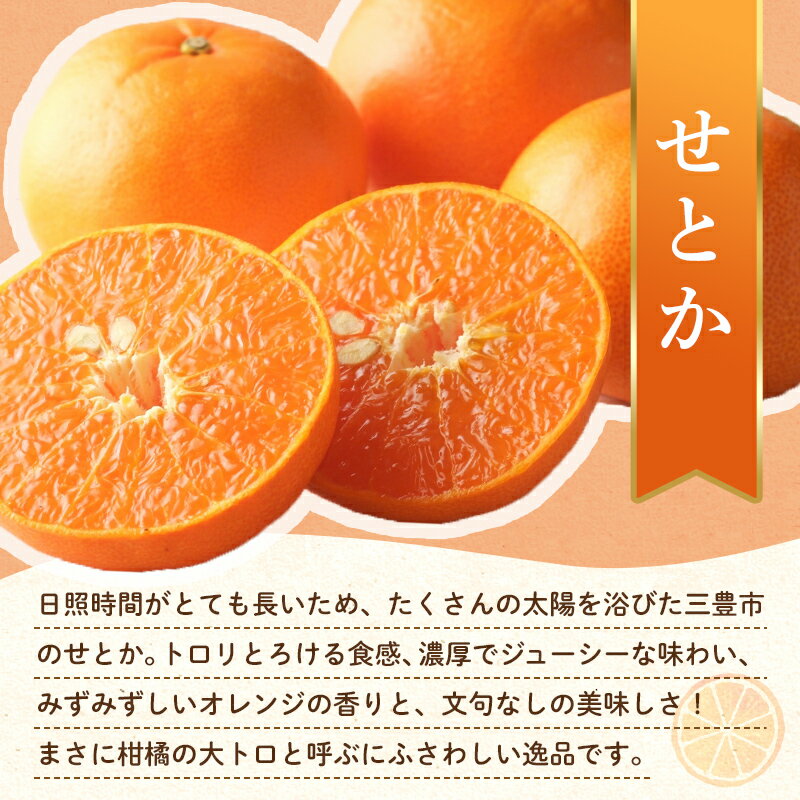 【ふるさと納税】【旬のお届け フルーツ定期便 3回】Kセット せとか 約5.0kg デコポン約5kg 小原紅早生みかん 約4.5kg せとか デコポン 早生みかん フルーツ 果物 国産 F5J-803