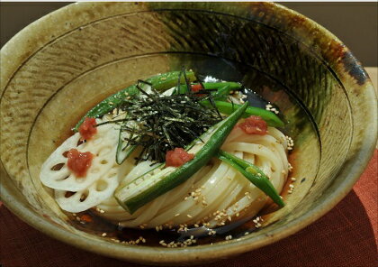 【冷うどんが旨い!】ひやひや純生うどんセット(8人前)〔提供：釜だしさぬきうどんめん一〕本場讃岐うどん ざるうどん ぶっかけうどん