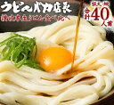 【ふるさと納税】≪自然の館≫味源 うどんバカ店長　本場讃岐の