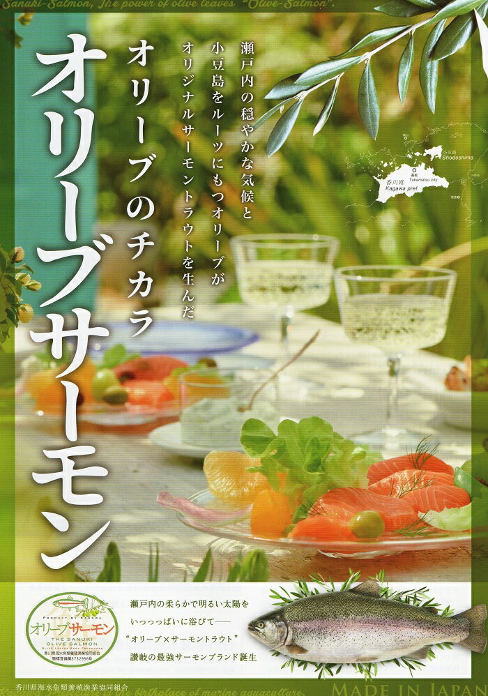 オリーブサーモン 1尾[予約受付中!令和6年4月頃から限定出荷分]〔お届け:冷蔵〕サーモン★まるごと★刺身★