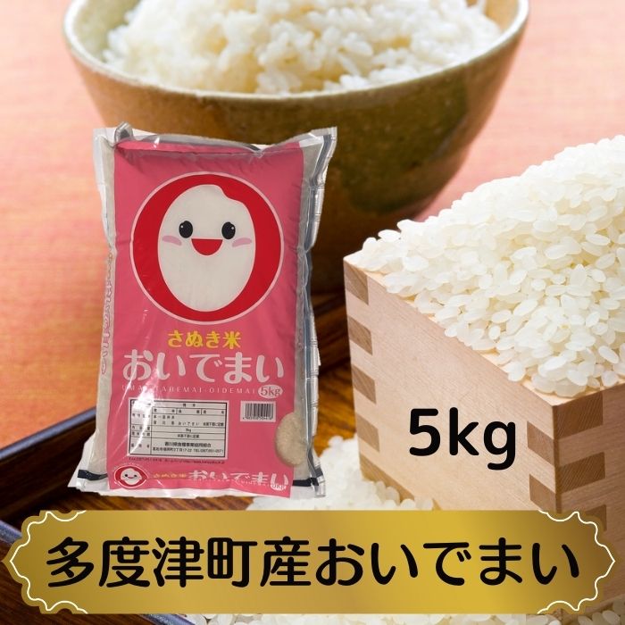 【ふるさと納税】多度津町産おいでまい 5kg 【令和5産新米