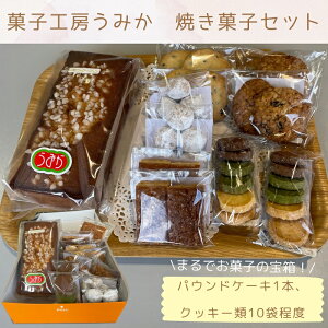 【ふるさと納税】(まるでお菓子の宝箱!)菓子工房うみか 焼き菓子セット〔提供:社会福祉法人多度津さくら会 ふれあいの家 菓子工房うみか〕パウンドケーキ🍰クッキー チョコチップ 抹茶 焼き菓子 ギフト