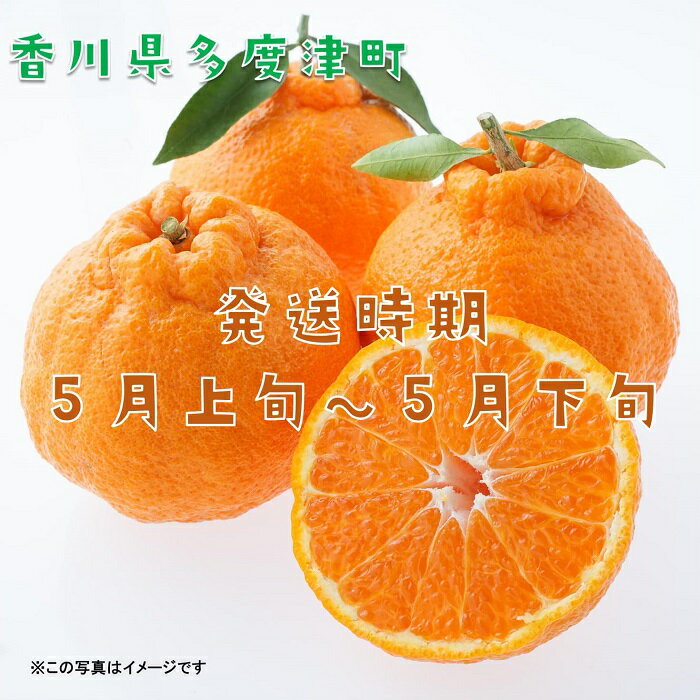 【ふるさと納税】長期貯蔵 熟成 不知火（でこぽん）約2.8kg【令和8年5月中旬より発送】〔提供：株式会社ことひら街道〕 しあわせ製麺 甘い ジューシー 季節限定 フルーツ くだもの 香川県 多度津町 旬 新鮮 ふるーつ 果物