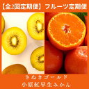 【ふるさと納税】【全2回フルーツ定期便】さぬき讃フルーツ さぬきゴールドと小原紅早生みかん〔提供:有限会社マミィギフトカガワ〕
