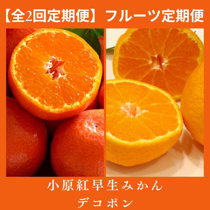 【ふるさと納税】【全2回フルーツ定期便】小原紅早生みかんと不知火(デコポン)〔提供:有限会社マミィギフトカガワ〕