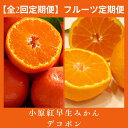 【ふるさと納税】【全2回フルーツ定期便】小原紅早生みかんと不知火(デコポン)〔提供:有限会社マミィギフトカガワ〕