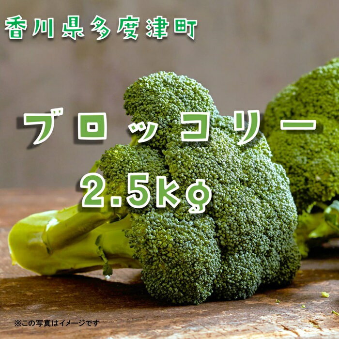 ブロッコリー約2.5kg サイズおまかせ〔提供:ことひら街道〕ブロッコリースプラウト スティックセニョール