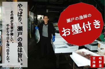 【ふるさと納税】（地元漁師厳選！魚介類詰め合わせ）瀬戸内　季節の新鮮お魚セット〔提供：有限会社宮崎海鮮總業〕