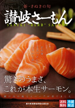【ふるさと納税】(現在出荷中!!)讃岐さーもん 1尾(お届け:冷蔵)〔提供:有限会社 倉本水産〕