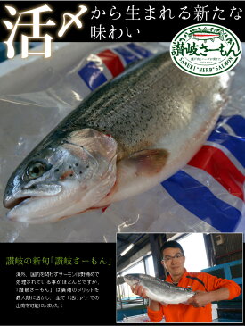 【ふるさと納税】(現在出荷中!!)讃岐さーもん 1尾(お届け:冷蔵)〔提供:有限会社 倉本水産〕