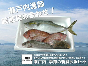 【ふるさと納税】（地元漁師厳選！魚介類詰め合わせ）瀬戸内　季節の新鮮お魚セット〔提供：有限会社宮崎海鮮總業〕