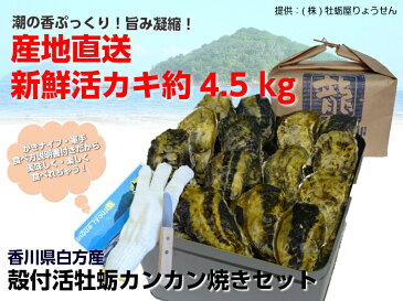 【ふるさと納税】（予約受付中：旬にお届け！2019年2月からの期間限定出荷！）殻付き活牡蛎カンカン焼セット 4.5kg (加熱用)〔提供：株式会社 牡蛎屋りょうせん〕