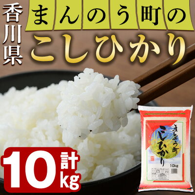 楽天ふるさと納税　【ふるさと納税】＜令和5年産＞香川県まんのう町産 コシヒカリ(10kg)国産 お米 こしひかり ご飯 白米 ライス【man028】【香川県食糧事業協同組合】