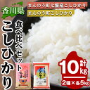 【ふるさと納税】＜令和5年産＞香川県まんのう町産 コシヒカリ 食べ比べセット(合計10kg)国産 お米 こしひかり ご飯 白米 ライス【man035】【香川県食糧事業協同組合】