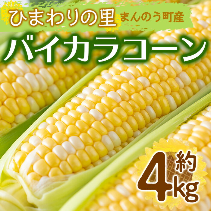 5位! 口コミ数「0件」評価「0」＜期間限定！2024年6月上旬以降順次発送予定＞バイカラコーン (約4kg) トウモロコシ とうもろこし とうきび コーン 夏 夏野菜 野菜･･･ 