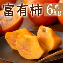 【ふるさと納税】<期間限定!2025年10月下旬以降順次発送予定>香川県産 富有柿(約6kg)国産 果物 くだもの フルーツ 柿 かき 秋 産地直送 【man074】【Aglio nero】