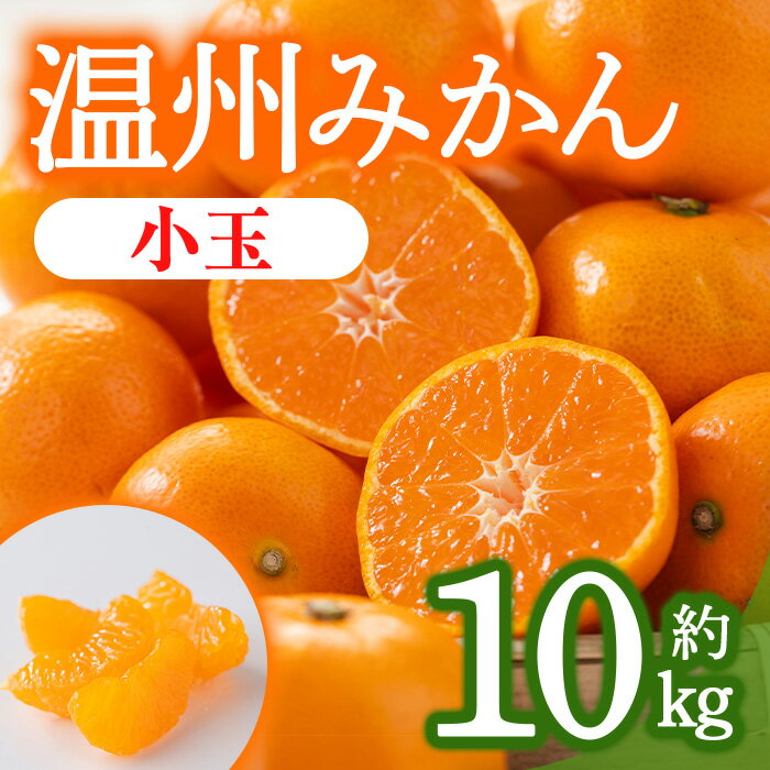 7位! 口コミ数「0件」評価「0」＜先行予約！2024年10月上旬以降順次発送予定＞香川県産 温州みかん (約10kg/小玉)国産 果物 果実 くだもの フルーツ みかん 蜜･･･ 