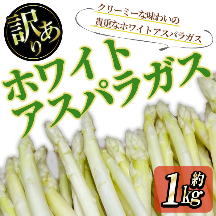 【ふるさと納税】＜期間限定！2024年3月上旬以降順次発送予定＞＜訳あり＞ホワイトアスパラガス　(約1kg)　家庭用 国産 香川県 冷蔵 アスパラガス アスパラ ホワイトアスパラ ホワイトアスパラガス クリーミー 野菜 訳あり お試し 自宅用 【man081】【Aglio nero】