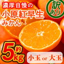 15位! 口コミ数「18件」評価「4.67」＜先行予約！2024年11月下旬以降順次発送予定＞＜訳あり・家庭用＞＜選べるサイズ＞香川県産 小原紅早生みかん(約5kg/小玉・大玉)国産 ･･･ 