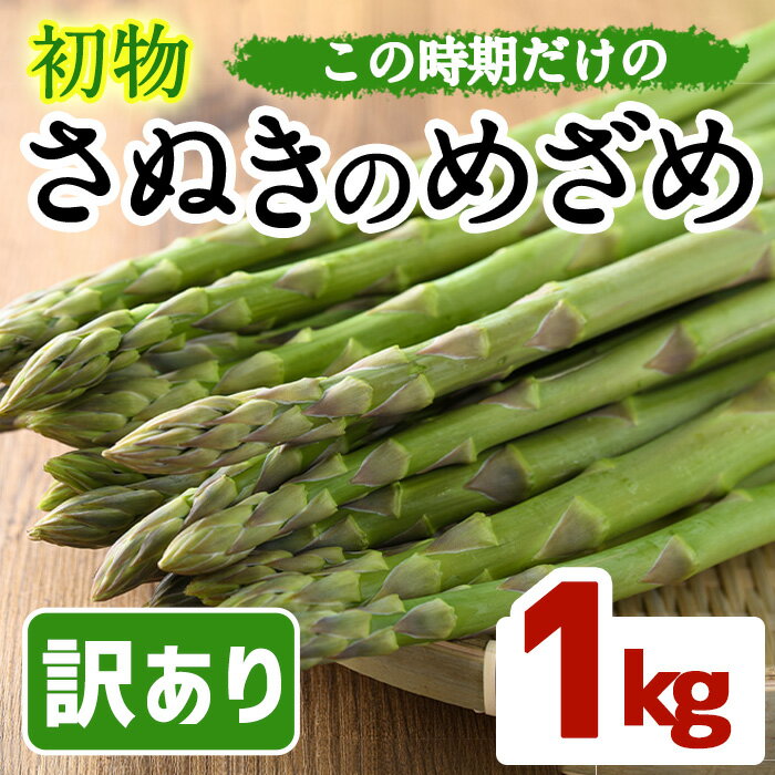 10位! 口コミ数「0件」評価「0」＜先行予約！2025年2月中旬以降順次発送予定＞＜訳あり＞初物！アスパラガス さぬきのめざめ (約1kg)国産 野菜 アスパラ 冷蔵 グリー･･･ 