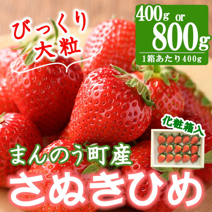 15位! 口コミ数「0件」評価「0」＜先行予約！2025年2月中旬以降順次発送予定＞＜贈答用＞＜選べる容量＞香川県産さぬきひめいちご(約400g・約800g/1箱約400g) ･･･ 