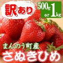 23位! 口コミ数「3件」評価「3.67」＜期間限定！2024年3月下旬以降順次発送予定＞＜訳あり＞＜選べる容量＞香川県産 さぬきひめいちご(約500g・約1kg)国産 果物 くだも･･･ 