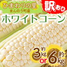 ۥ磻ȥ6kg