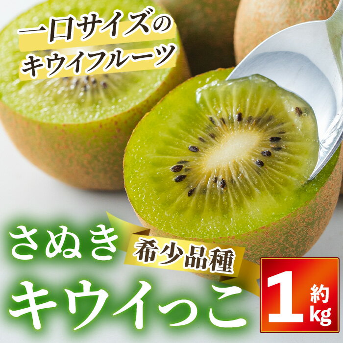 17位! 口コミ数「0件」評価「0」＜先行予約！2024年11月中旬以降順次発送予定＞ さぬきキウイっこ (約1kg) キウイ キウイっこ ブランド フルーツ 産地直送 新鮮 ･･･ 