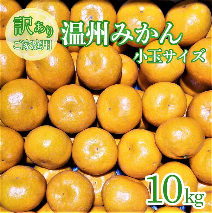 【ふるさと納税】（訳あり家庭用）温州みかん小玉サイズ　約10kg※2022年10月上旬から順次発送予定※北海道・沖縄県及び離島への配送不可