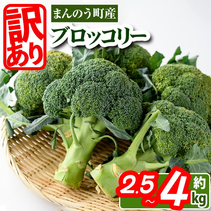 全国お取り寄せグルメ香川その他の野菜No.4