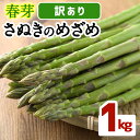 【ふるさと納税】<先行予約!2026年2月下旬以降順次発送予定><訳あり・家庭用>春芽!アスパラガス「さぬきのめざめ」(約1kg)国産 野菜 アスパラガス アスパラ 産地直送 新鮮 冷蔵便 【man118】【Aglio nero】