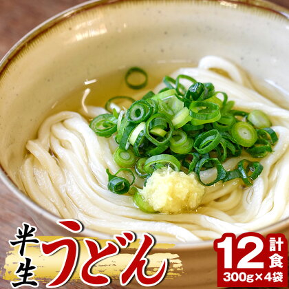 「なかむらうどん」＜つゆ付＞ 半生うどんセット(12食分・300g×4袋) 本場 讃岐 讃岐うどん 半生 小麦 麺 さぬき 釜玉 醤油 ぶっかけうどん 釜揚げコシ 常温 常温保存 【man144】【なかむら】