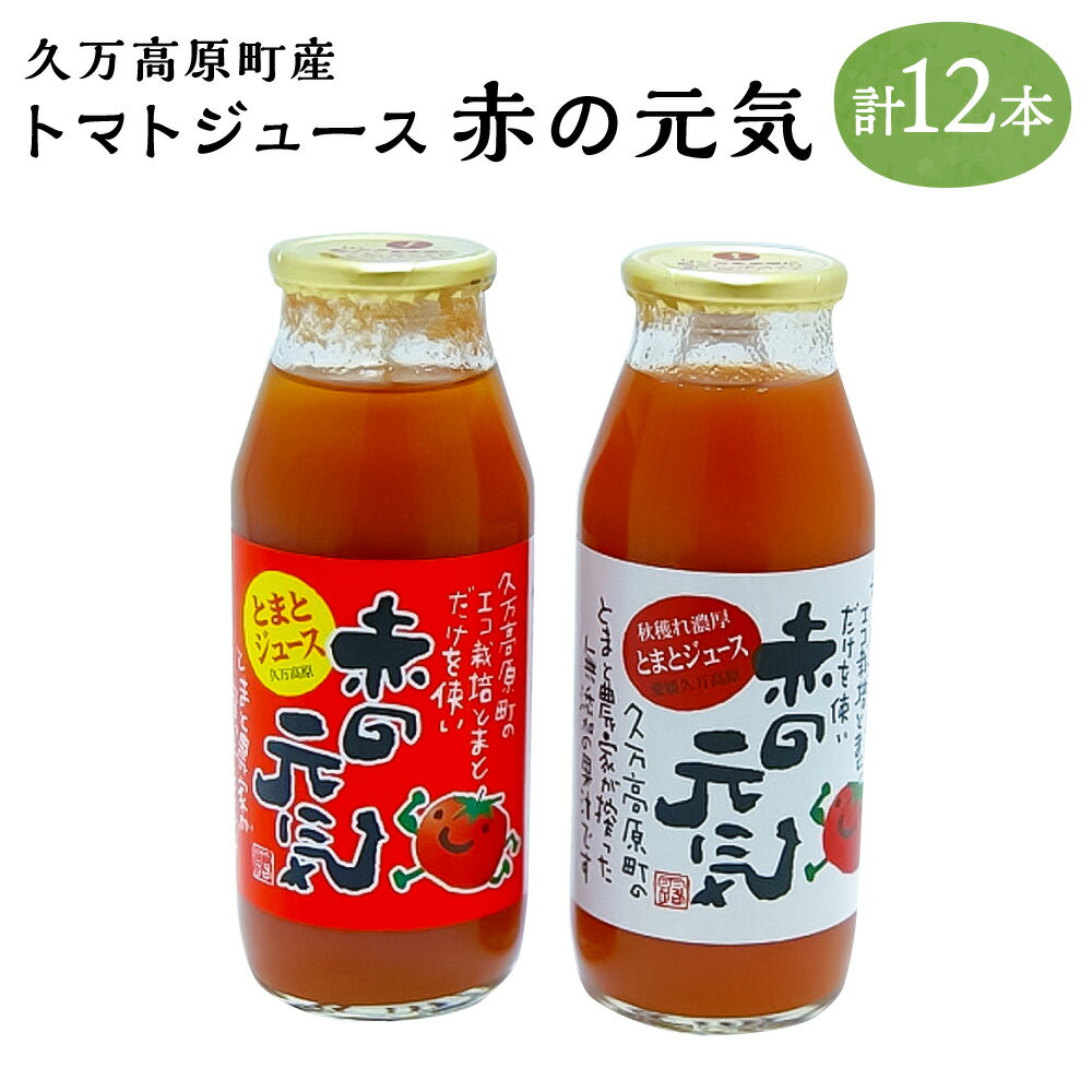 【寄附金の使い道】 ご寄附いただいた寄附金については、県が一括して受け入れた上で、 必要経費を除く寄附受入金額の45%を対象の町へ交付させていただきます。 各町では、その交付金を広く人口減少対策をはじめとする地域の課題解決に活用していただきます。 【商品説明】 ※この返礼品の寄附金額は、「久万高原町」に交付されます。 久万高原町は、霊峰・石鎚山からの清流、肥沃な土、そして夏場の冷涼な気候を生かし、中四国最大のトマト産地となっています。 高原ならではの寒暖差、栽培期間中農薬・化学肥料を減らしたエコ栽培が、安心・安全で甘くおいしいトマトを育てます。 そんな久万高原町産のトマトのみを使い、シンプルに仕上げた無添加のトマトジュース「赤の元気」。 わずかな皮と種以外、種の周りのゼリー部分までまるごと使用しているため、トマトの旨みはもちろん、リコピンなどの大切な栄養もたっぷり。 余計なものが一切入っていないので、スープや煮込みなどの料理にも使えます。 サラッと飲みやすい「夏穫れ（赤ラベル）」と旨みが凝縮してコクのある「秋穫れ（白ラベル）」、各6本ずつの12本セットをお届けします。 商品説明 名称 久万高原町産トマトジュース「赤の元気」 【えひめの町（超）推し！（久万高原町）】 産地 愛媛県 内容量 ・夏穫れ赤ラベル：180ml×6本 ・秋穫れ白ラベル：180ml×6本 　合計12本 原材料 トマト（桃太郎トマト） 賞味期限 製造から1年 発送温度帯 常温 保存方法 直射日光を避けて保存 提供元 株式会社FFT ・ふるさと納税よくある質問はこちら ・寄付申込みのキャンセル、返礼品の変更・返品はできません。あらかじめご了承ください。寄附金の使い道について 「ふるさと納税」寄付金は、下記の事業を推進する資金として活用してまいります。 寄付を希望される皆さまの想いでお選びください。 【人】次世代を育み、誰もが活躍できる愛媛県 【経済】“稼ぐ力”を高め、県民所得が向上した愛媛県 【暮らし】安心・安全で快適に暮らせる持続可能な愛媛県 受領申請書及びワンストップ特例申請書について 入金確認後、注文内容確認画面の【注文者情報】に記載の住所にお送りいたします。 発送の時期は、寄付確認後1カ月以内を目途に、お礼の特産品とは別にお送りいたします。