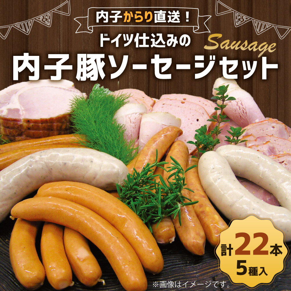 【ふるさと納税】内子からり直送!ドイツ仕込みの「内子豚ソーセージ 5種セット」 計22本 ソーセージ 内子豚 ビーナー チーズ スパイシー グリルブルスト ミュンヘナーバイスブルスト 詰め合わせ セット グルメ SPF 国産 送料無料 (281) 【えひめの町（超）推し！（内子町）】