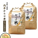 【ふるさと納税】令和5年産 内子からり米（ヒノヒカリ）玄米 10kg×2袋 合計20kg 愛媛県産 道の駅からり からり ひのひかり 内子産 内子 お米 ご飯 ごはん お米 コメ 四国 愛媛県 送料無料 (314) 【えひめの町（超）推し！（内子町）】