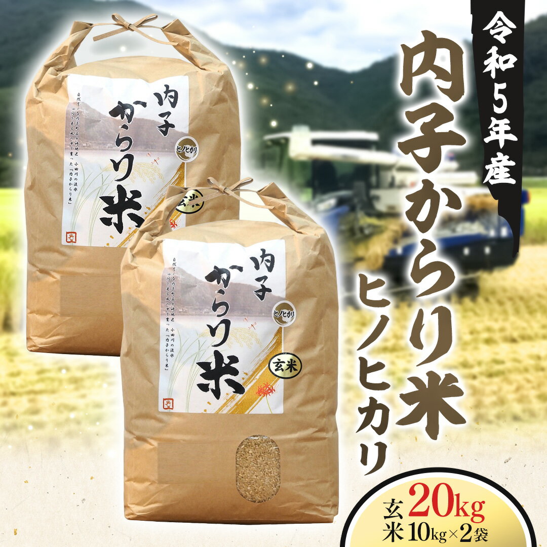 【ふるさと納税】令和5年産 内子からり米（ヒノヒカリ）玄米 10kg×2袋 合計20kg 愛媛県産 道の駅からり からり ひのひかり 内子産 内子 お米 ご飯 ごはん お米 コメ 四国 愛媛県 送料無料 (314) 【えひめの町（超）推し！（内子町）】