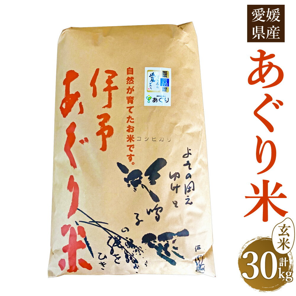 [令和5年産]あぐり米(コシヒカリ) 玄米 計30kg 10kg×3袋 農薬・化学肥料不使用 コシヒカリ玄米 伊予あぐり米 こしひかり 米 こめ お米 おこめ 単一原料米 検査済 国産米 お取り寄せ 国産 愛媛県 送料無料 (277) [えひめの町(超)推し!(松前町)]