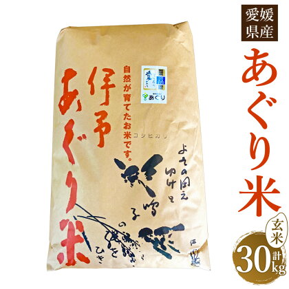 【令和5年産】あぐり米（コシヒカリ） 玄米 計30kg 10kg×3袋 農薬・化学肥料不使用 コシヒカリ玄米 伊予あぐり米 こしひかり 米 こめ お米 おこめ 単一原料米 検査済 国産米 お取り寄せ 国産 愛媛県 送料無料 (277) 【えひめの町（超）推し！（松前町）】