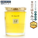【ふるさと納税】はちみつ 450g 愛南産 蜂蜜 ハチミツ 天然はちみつ 国産 愛南町 愛媛県 送料無料 (327) 【えひめの町(超)推し!(愛南町)】【2025年5月下旬から順次発送予定】