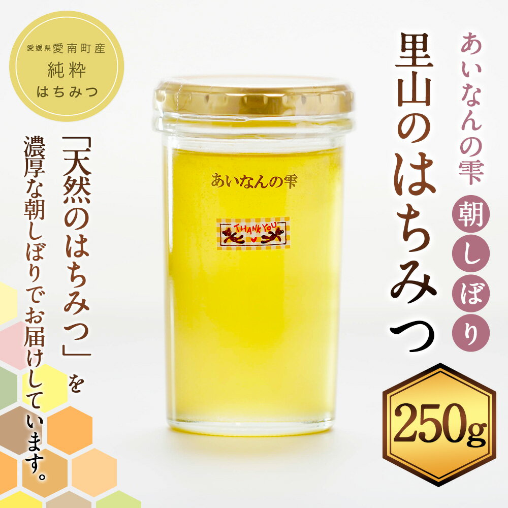 【ふるさと納税】はちみつ 250g 愛南産 蜂蜜 ハチミツ 天然はちみつ 国産 愛南町 愛媛県 送料無料 (328) 【えひめの町（超）推し！（愛南町）】