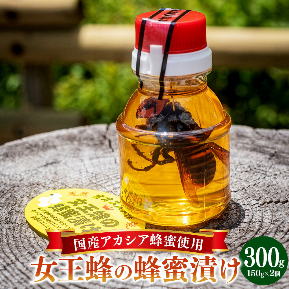 【ふるさと納税】女王蜂の蜂蜜漬け 150g×2本 計300g はちみつ漬け ハチミツ 蜂蜜 はちみつ スズメバチ オオスズメバチ 国産 アカシア蜂蜜 養蜂園 養蜂場 送料無料 (368) 【えひめの町（超）推し！（内子町）】