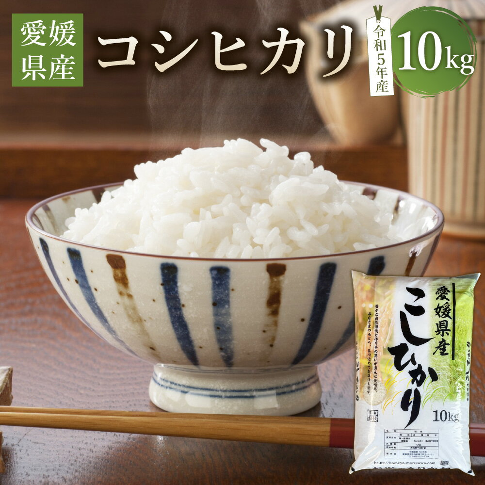 [令和5年産]愛媛県産 コシヒカリ 10kg 米 お米 こめ コメ 白米 ブランド米 こしひかり 精米 四国 愛媛県 送料無料 (362)