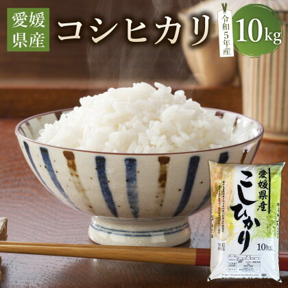 【令和5年産】愛媛県産 コシヒカリ 10kg 米 お米 こめ コメ 白米 ブランド米 こしひかり 精米 四国 愛媛県 送料無料 (362)