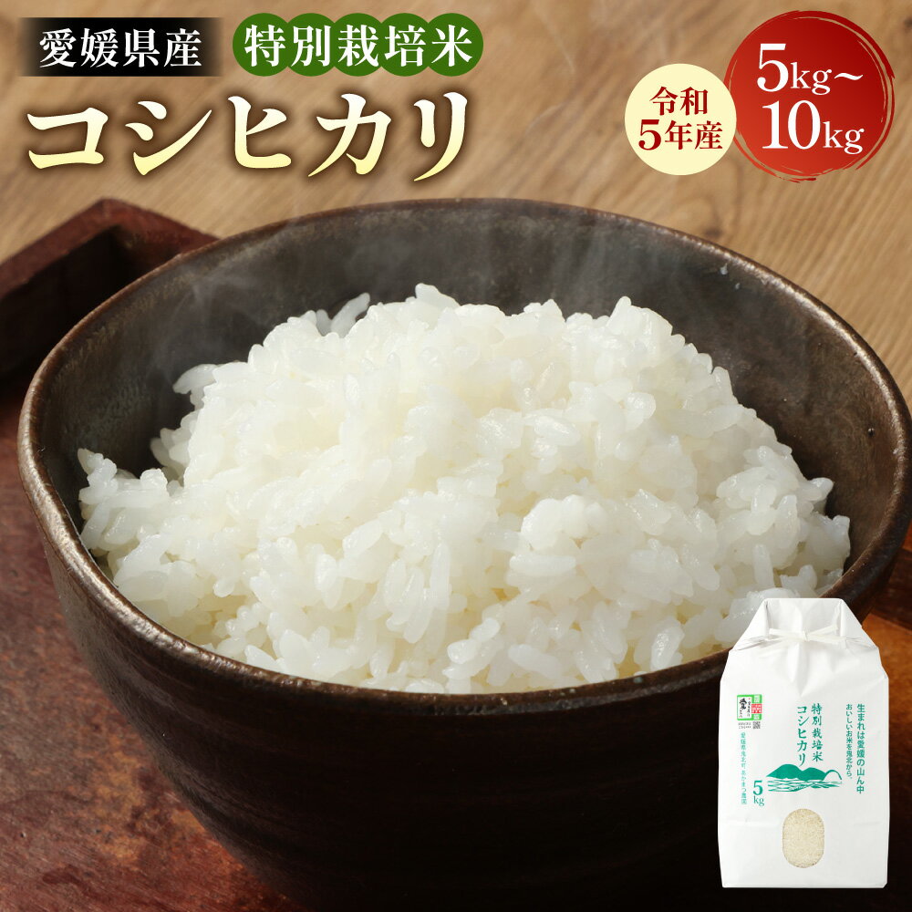 令和5年産 愛媛県産 特別栽培米 コシヒカリ[選べる]5kg または 10kg 白米 米 お米 精米 おこめ こめ コメ 国産米 ごはん ご飯 国産 愛媛県 送料無料 (393) (394) [えひめの町(超)推し!(鬼北町)]