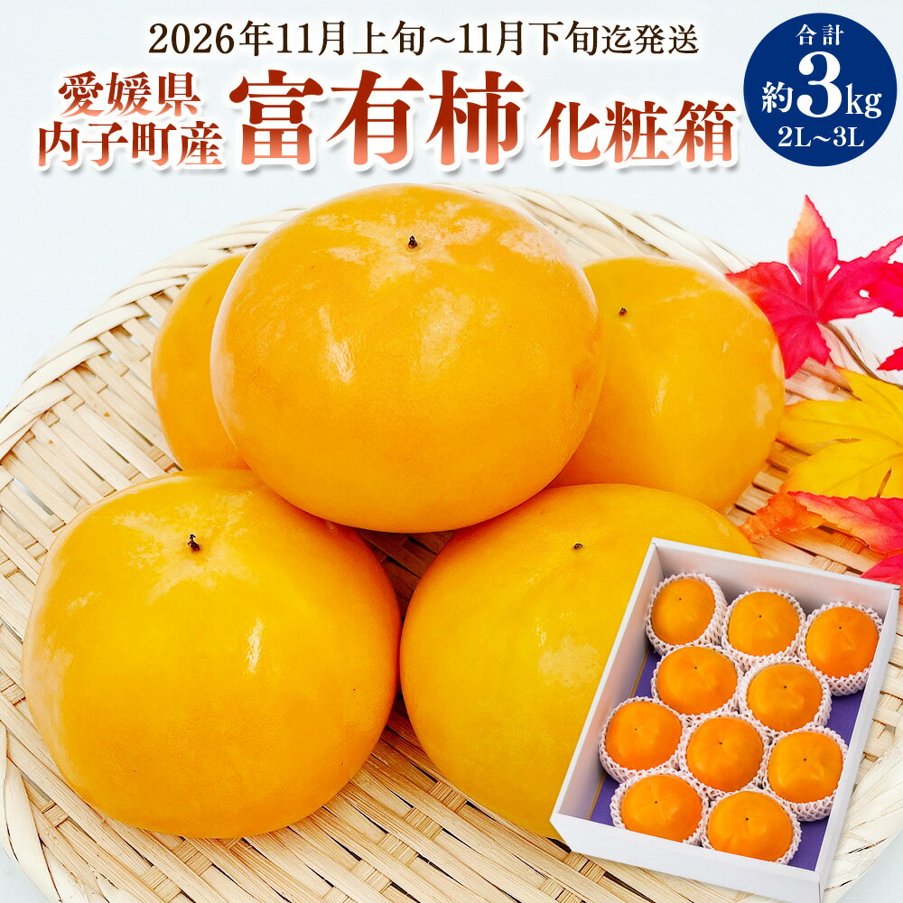 内子町産 富有柿 化粧箱 2L〜3Lサイズ 約3kg 柿 カキ フルーツ 果物 果実 国産 四国 愛媛県 送料無料 (448-1)[2026年11月上旬〜11月下旬迄発送][えひめの町(超)推し!(内子町)]