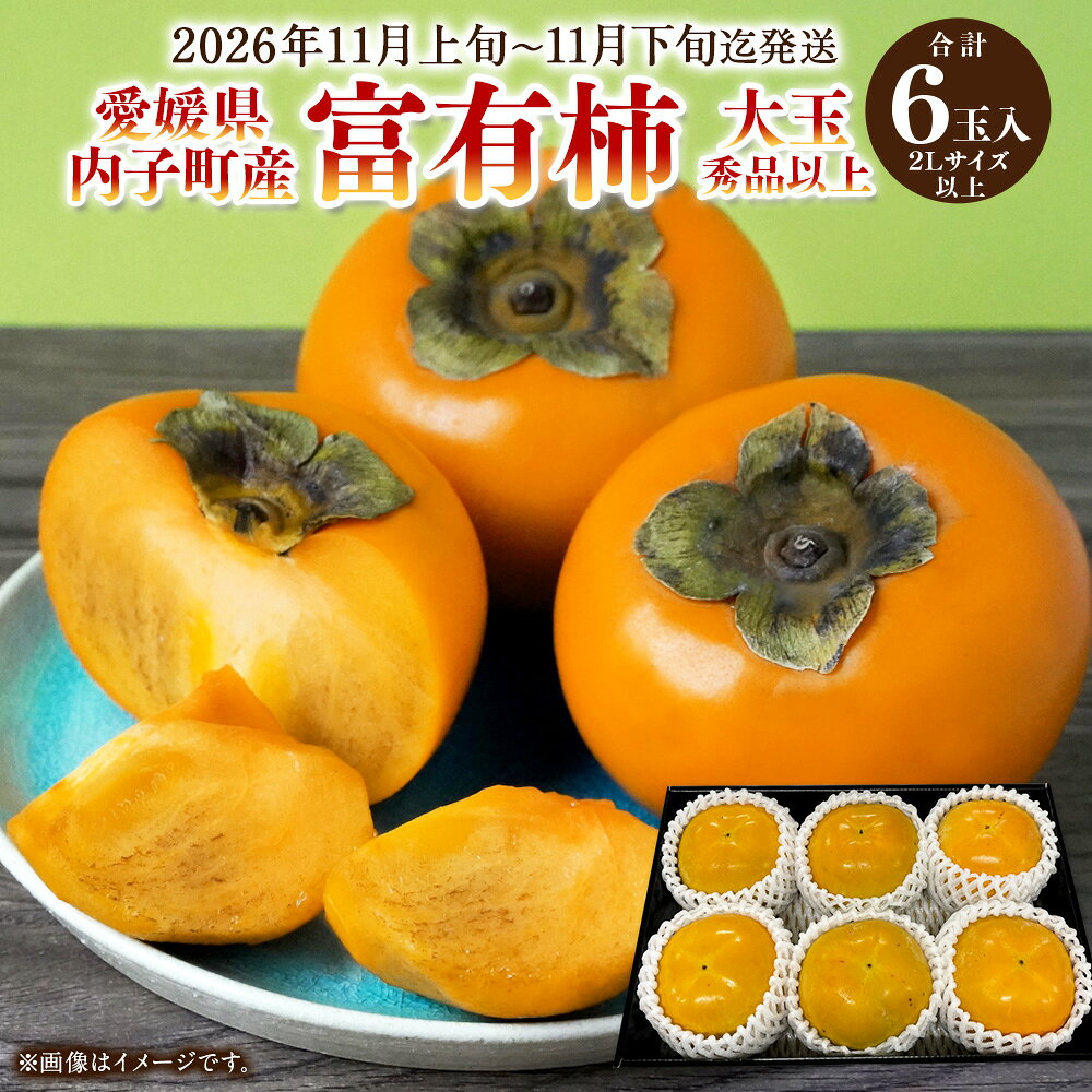 内子町産 富有柿 大玉 秀品以上 6玉入り 2Lサイズ以上 柿 カキ フルーツ 果物 果実 愛媛県産 国産 四国 愛媛県 送料無料 (449)[2026年11月上旬〜11月下旬迄発送][えひめの町(超)推し!(内子町)]