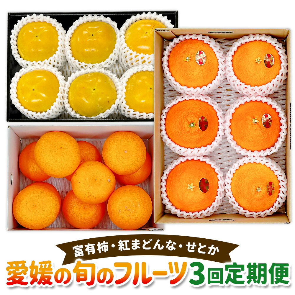 愛媛の旬のフルーツ 3回定期便 【 富有柿 ・ 紅まどんな ・ せとか 】 柿 みかん 蜜柑 ミカン 柑橘 果物 フルーツ お取り寄せ デザート 定期便 常温 送料無料 【えひめの町（超）推し！】(622)