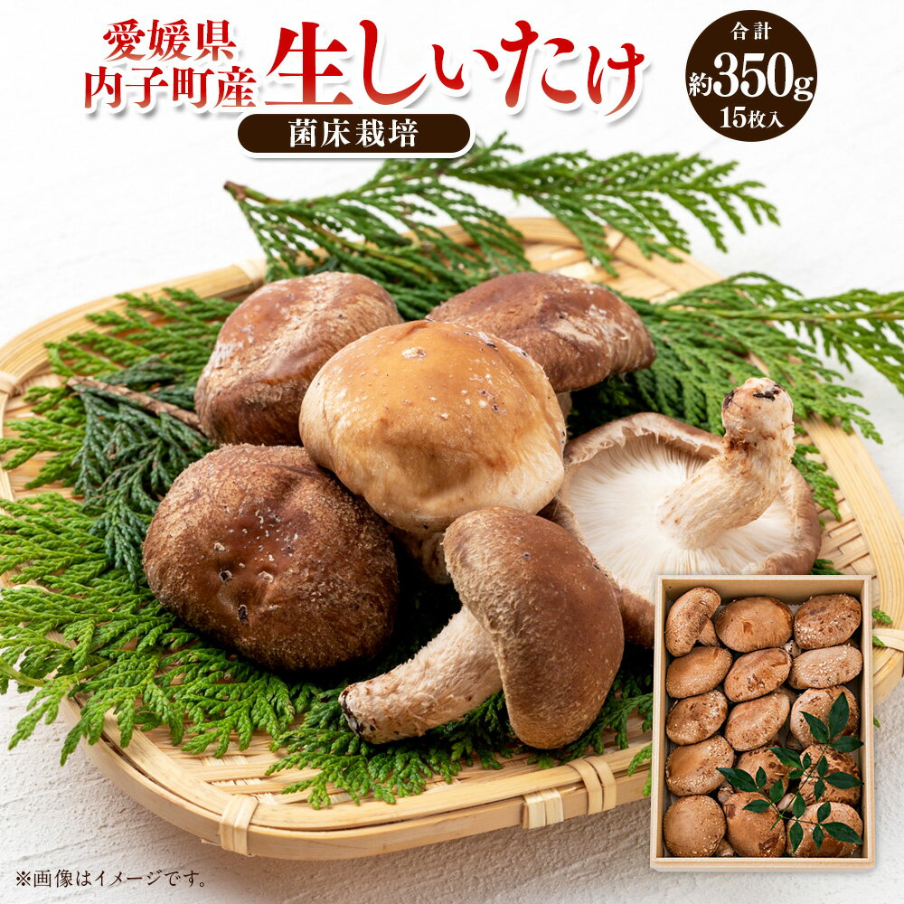 内子町産 生しいたけ(菌床栽培) 約350g 15枚入り 椎茸 シイタケ きのこ キノコ 茸 国産 四国 愛媛県 送料無料 (442)【えひめの町(超)推し!(内子町)】