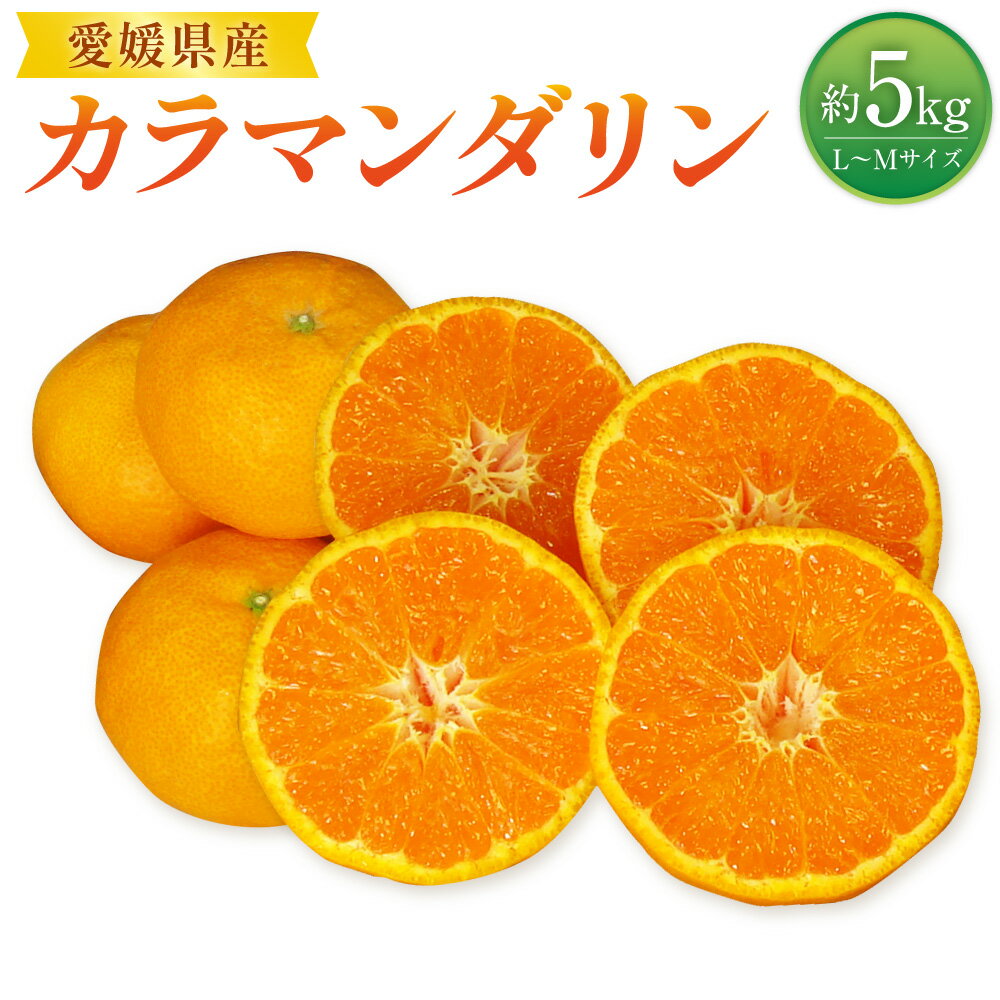 カラマンダリン L〜Mサイズ 約5kg みかん ミカン 蜜柑 柑橘 フルーツ 果物 果物 くだもの 宇和 お取り寄せ デザート おやつ 常温 送料無料 (523)[2026年4月上旬〜2026年5月上旬発送予定]